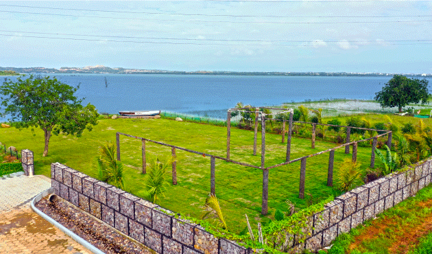 Flame-of-the-forest blooms lighting up Dhara’s woodland edge