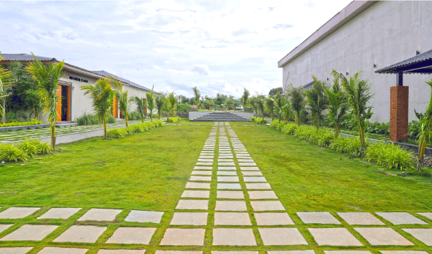 Golden-hour light filtering through banyan leaves at Dhara Resort