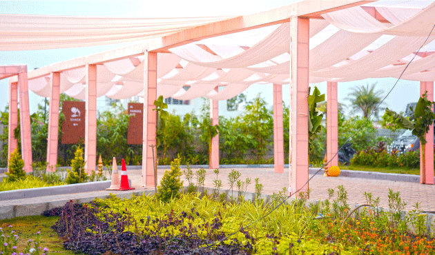 Creeping thyme releasing aroma underfoot on Dhara’s stone path