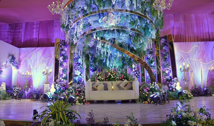 Sun-dappled path under arching tree branches, inviting exploration